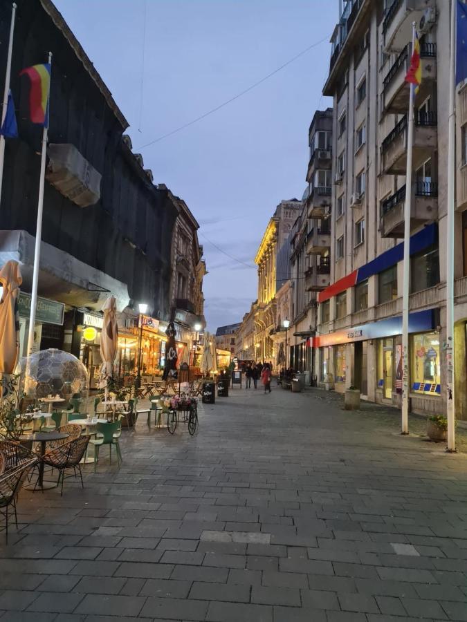 דירות בוקרשט Color Ap Calea Victoriei 12C מראה חיצוני תמונה